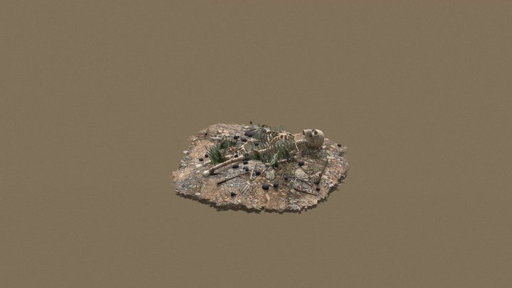remains 3D Model