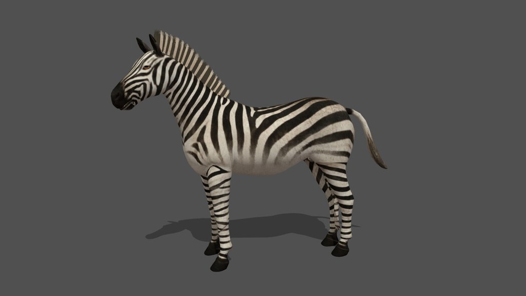 Animated Zebra – 3D Animal Model