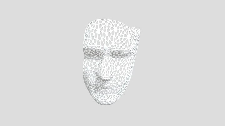 Face Scan Smooth Wireframe 3D Model