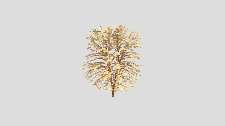 Tree 3D Model