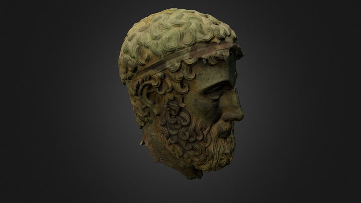 Testa di Basilea 3D Model