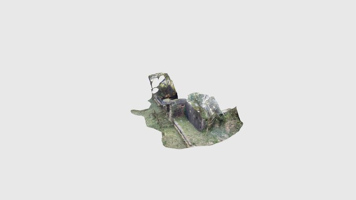 Group B scan 2 3D Model