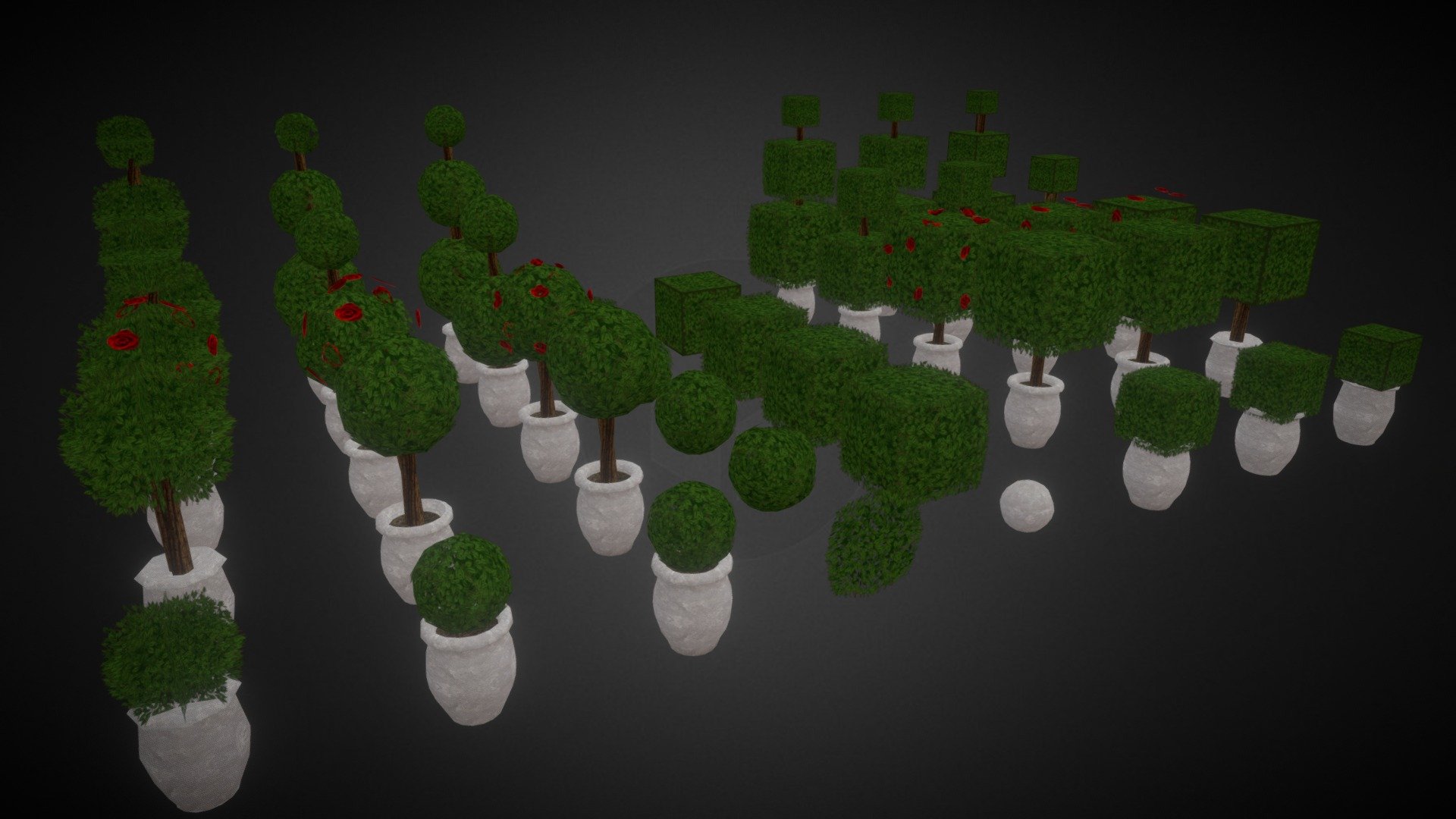 Plantas De Interior