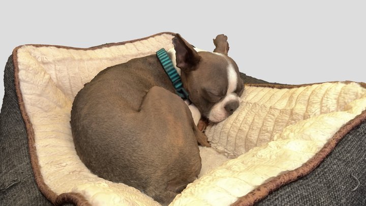 DaBaby 3D Model