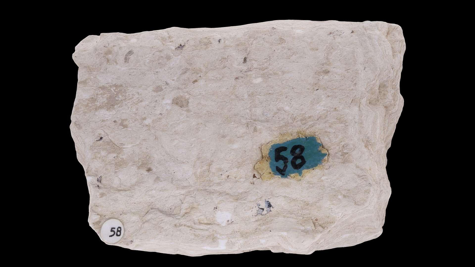 Diotomaceous earth #58 05-19-2020