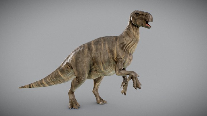 Iguanodon 3D Model