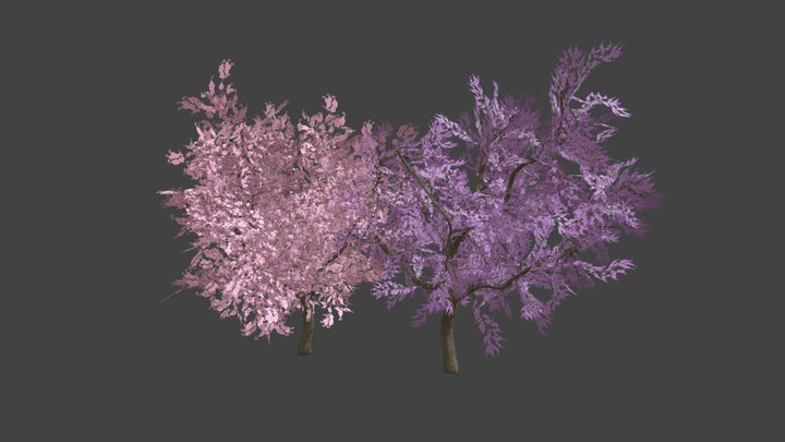 Sakura Trees - Free 3D Model