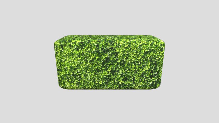 Hedge 3D Model