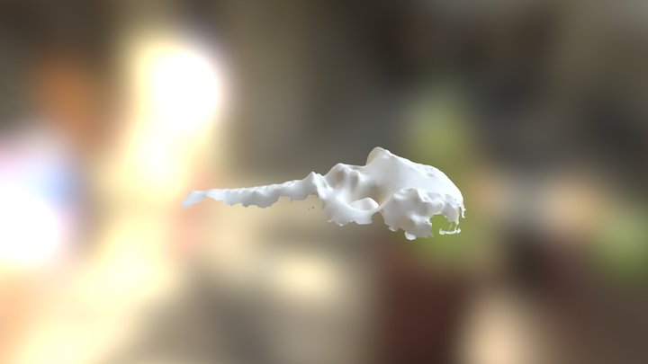 Fnl 3D Model