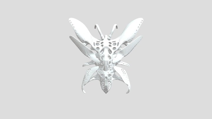 butterfly