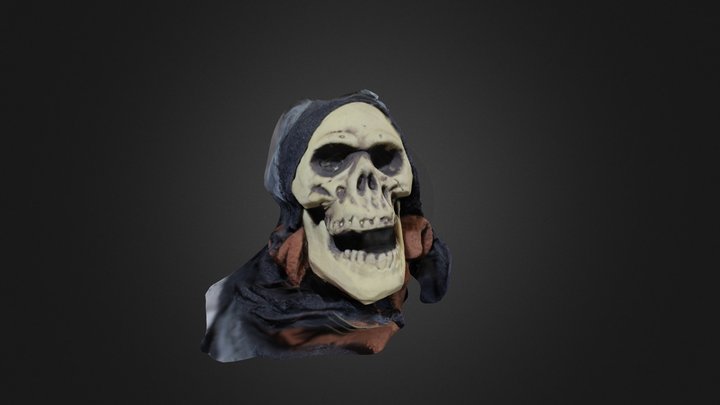 skull_scan 3D Model