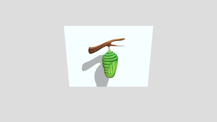 PUPA KUPU 3D Model