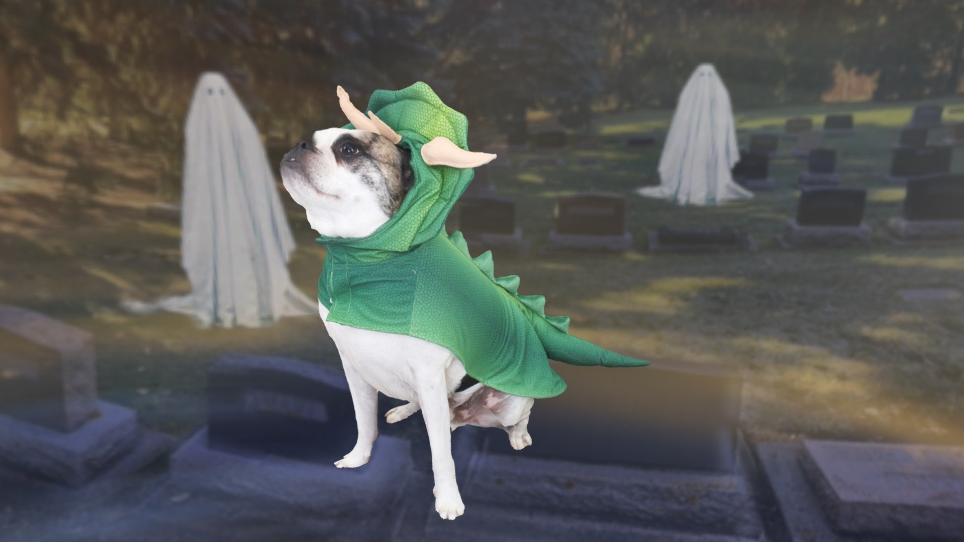 Lewis's 2021 3D Halloween Costume 3D model by GravityB [0c4cfbc