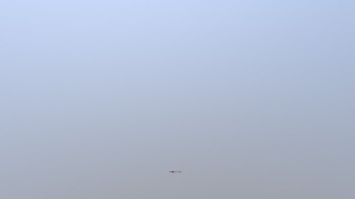Sarakingu 3D Model