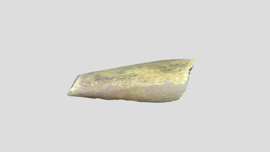 3D Final Project - Bone 2