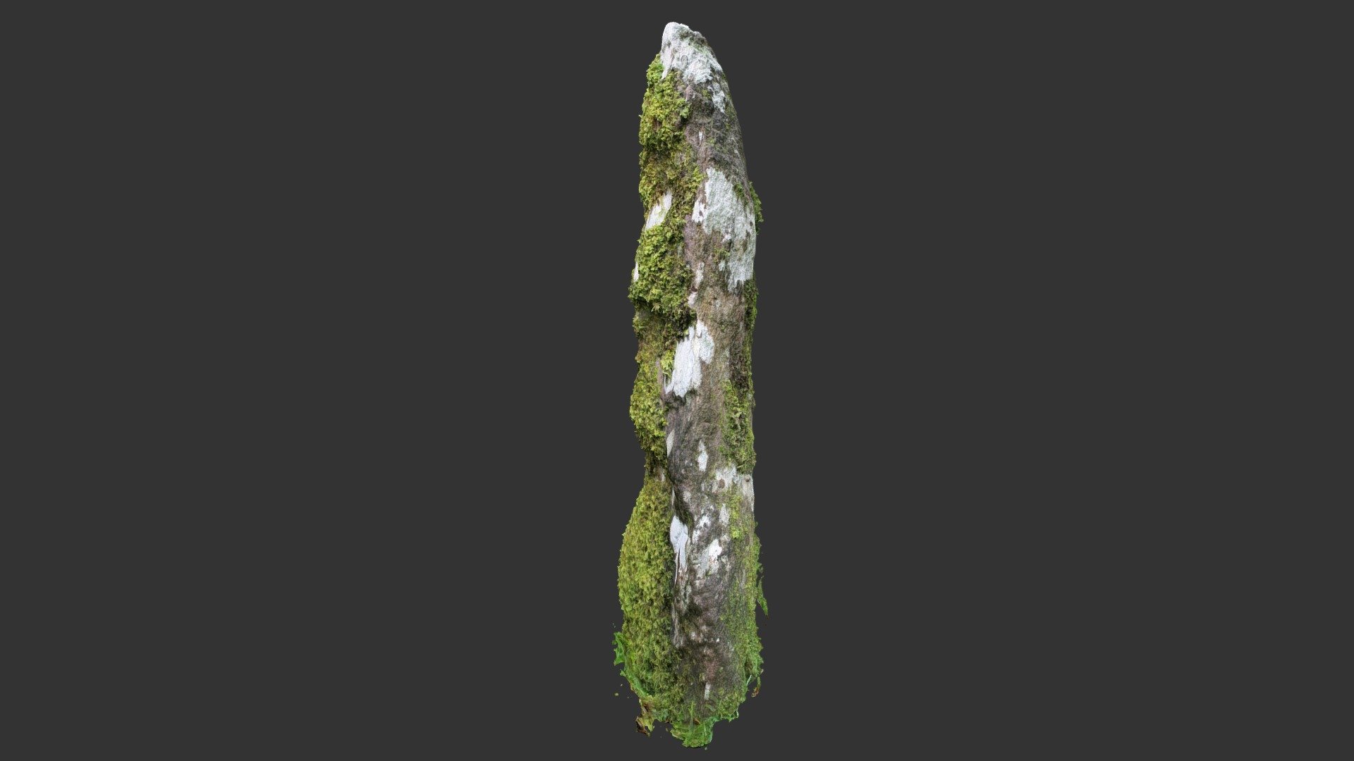 An tSeancluain II ogham stone