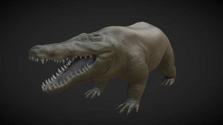 Elephant Croc 3D Model