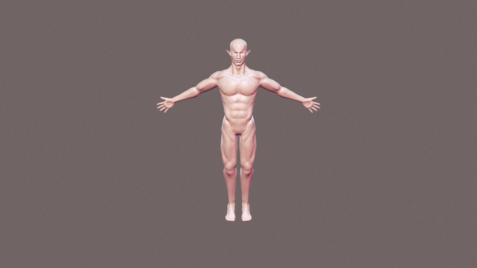 Male muscle reference - Download Free 3D model by emiliedeanefreeman ...