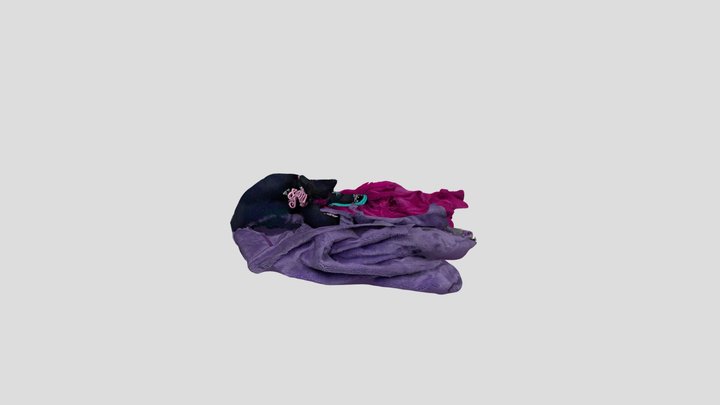 claires 3D Model