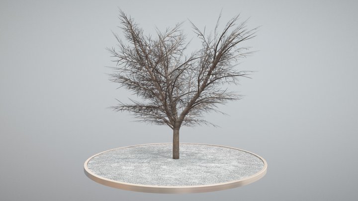 Kastanie 21 Meter - Winter 3D Model