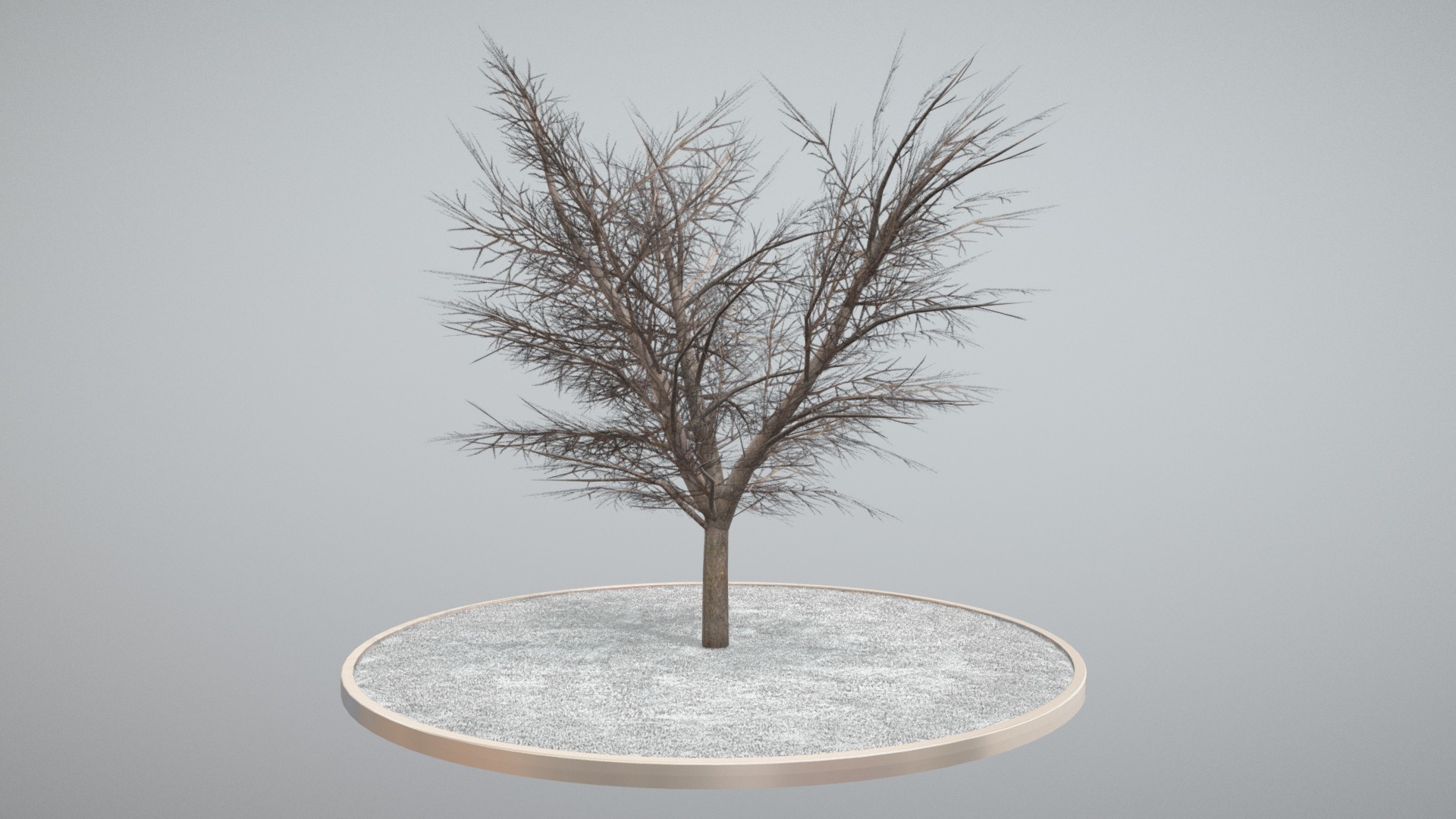 3D model Kastanie 21 Meter – Winter - This is a 3D model of the Kastanie 21 Meter - Winter. The 3D model is about a tree in a white bowl.