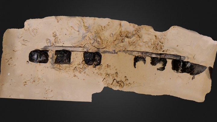 The wreck of the Nautilus 3D Model