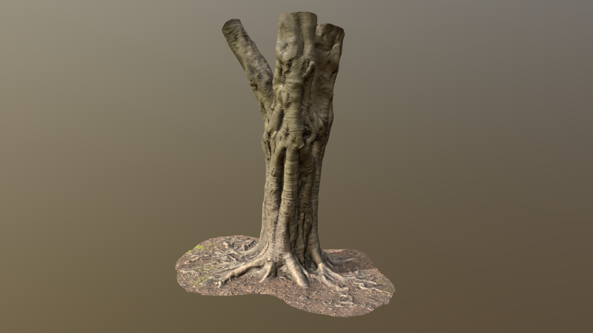 3D model Fig Trunk Large Midpoly - This is a 3D model of the Fig Trunk Large Midpoly. The 3D model is about a statue of a person.