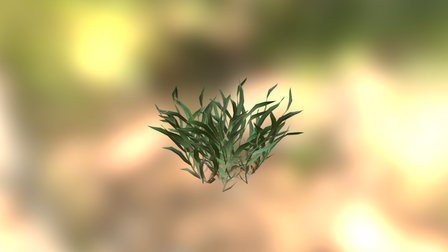 Grass 3D Model