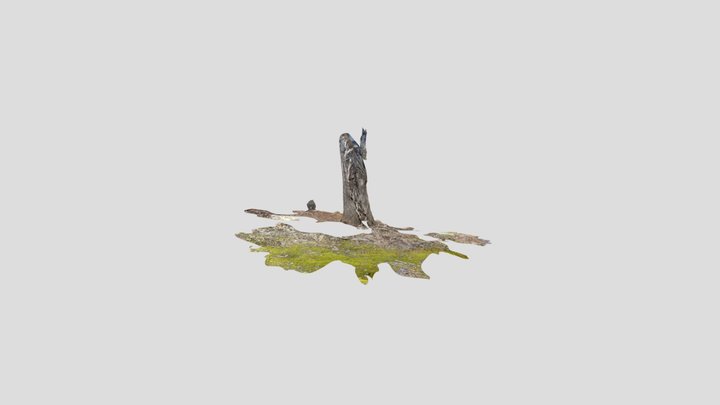 Tree With Dead Vines-poly 3D Model