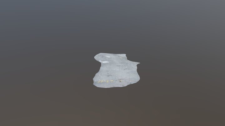 Asphalt patch 3D Model