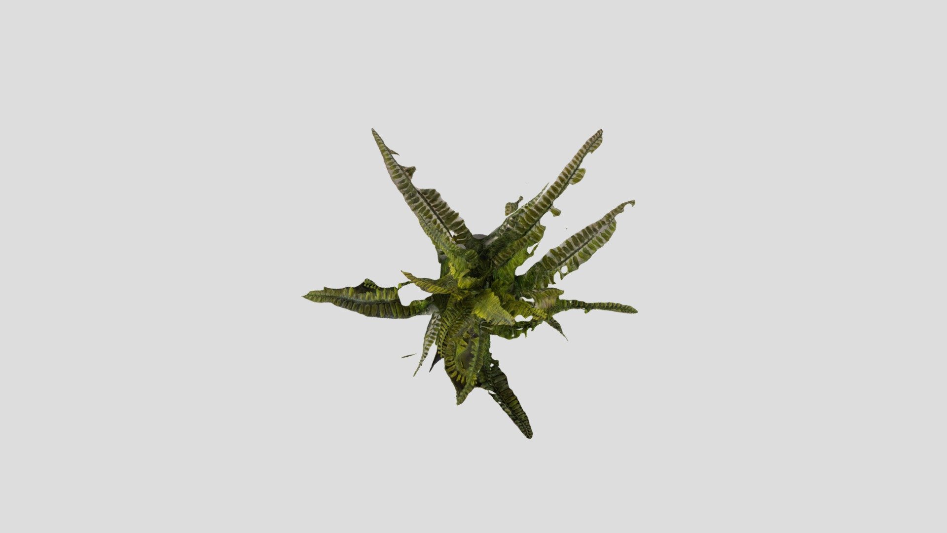 My photorealistic 3D model from photos