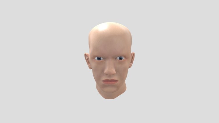 My Head 3D Model