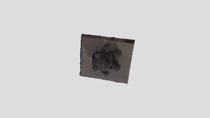 model 3D Model