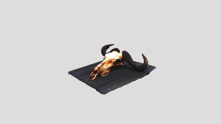 The Bone - Hlane Royal National Park 3D Model