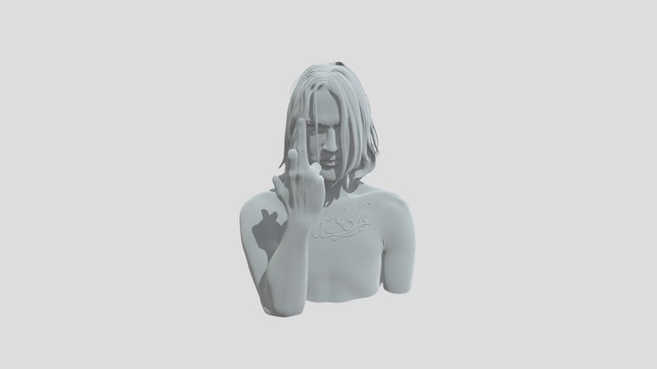SCH A7 COVER 3D Model