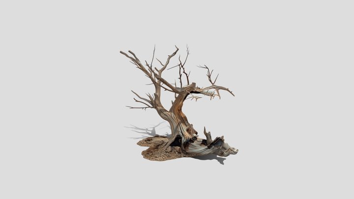 Old dead Tree t 3d model free