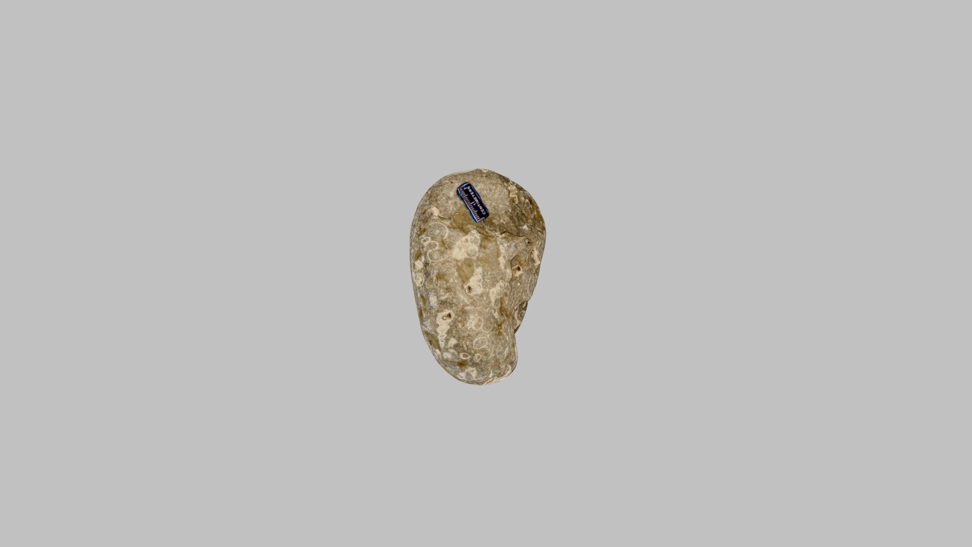 UTSC rock sample 351
