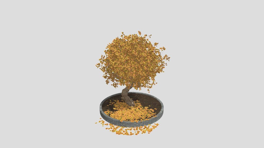 Autumn Tree