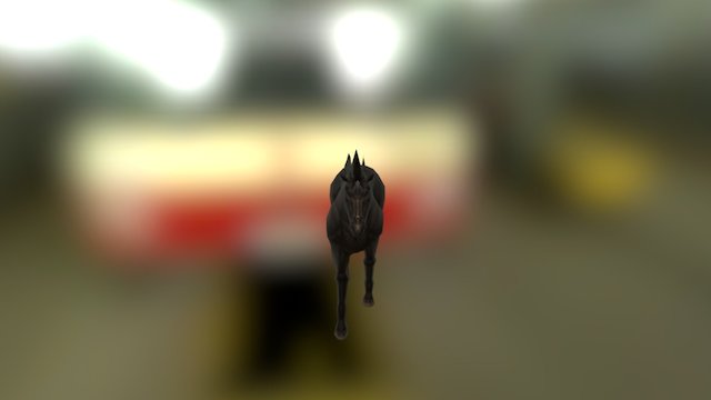 horses Walk 3D Model