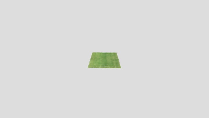3D Football 3D Model
