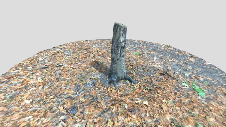 Treestump – Free 3D Model STL