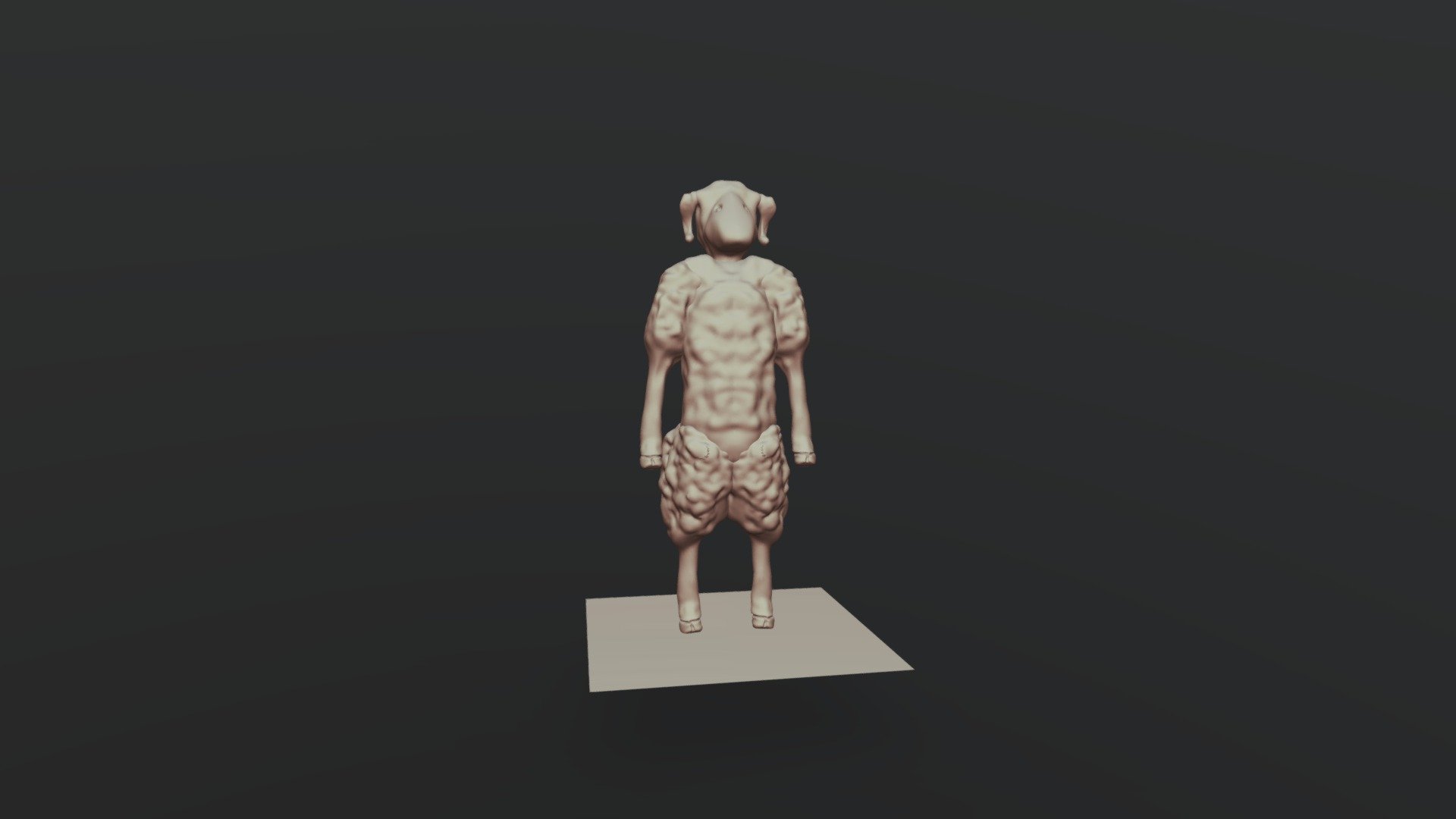 Sheep Body