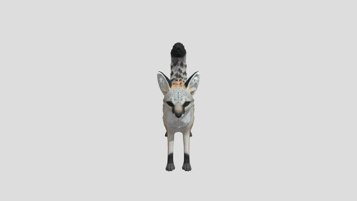 Bengal Fox