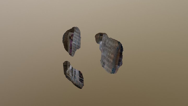 17 3D Model