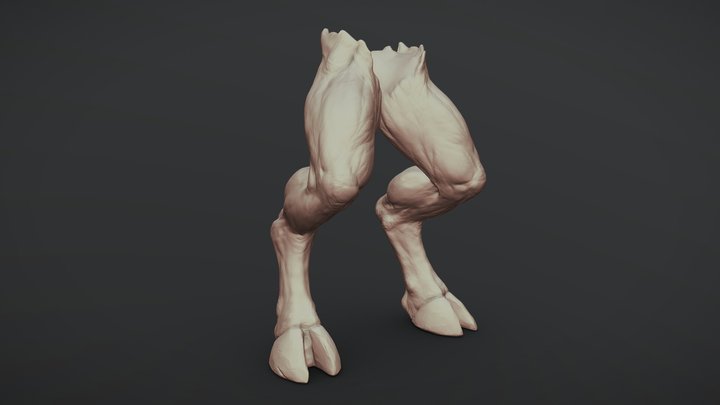 Creature Legs 3D Model