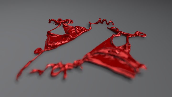 Bikini 3D Model