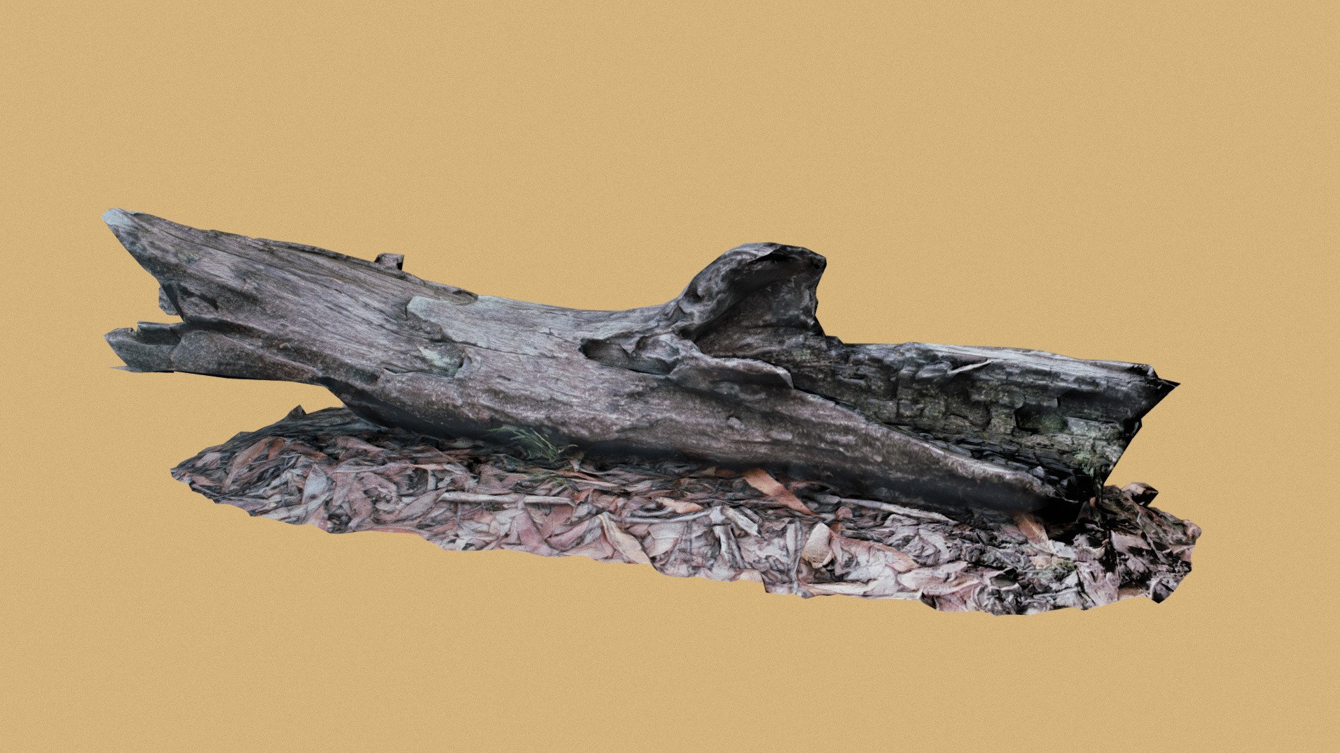 Wood Log Photoscan (gameready / low poly)