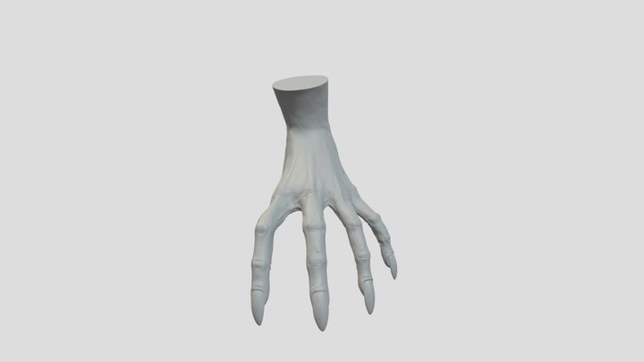 hand witch 3D Model