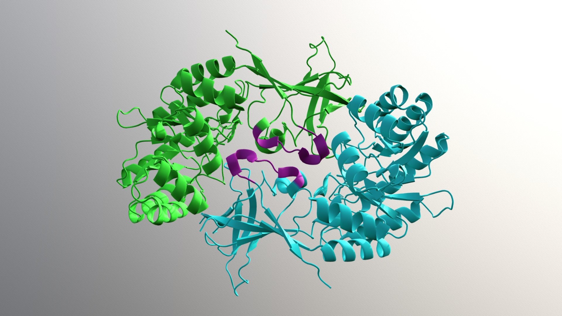 Native ODC conformation of loop interface - 3D model by hello ...