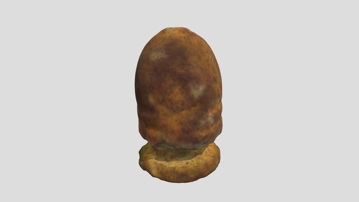 Bullet - Special Collections, UVa 3D Model
